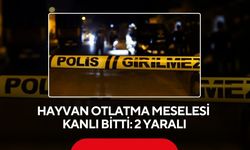 Hayvan otlatma meselesi kanlı bitti: 2 yaralı