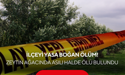 İlçeyi yasa boğan ölüm! Manav zeytin ağacına asılı halde ölü bulundu