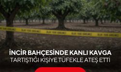İncir bahçesinde kanlı kavga: Tartıştığı kişiye tüfekle ateş etti