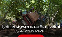 Korku dolu anlar! İşçileri taşıyan traktör devrildi, çok sayıda yaralı!