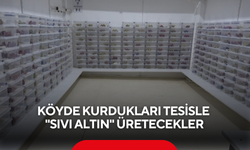 Köyde başladı, hedef büyüdü! ''Sıvı altın'' üretiminde uluslararası pazar hedefi