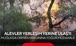Muğla’da korkutan orman yangını! Alevler yerleşim yerine ulaştı, karayolu kapatıldı