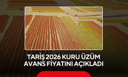 TARİŞ kuru üzüm fiyatını açıkladı! İşte 2026 sezonunun avans fiyatı
