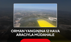 Orman yangınına 12 hava aracıyla müdahale