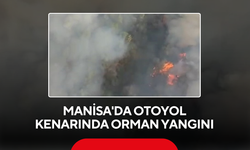 Manisa'da otoyol kenarında orman yangını
