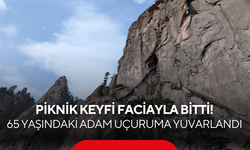 Piknik keyfi faciayla bitti! 65 yaşındaki adam uçuruma yuvarlandı