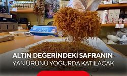 Safranın yan ürünü çöpe gitmeyecek! Bu kez yoğurdu zenginleştirecek