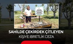 Sahilde çekirdek çitledi, kabuklarını yere attı! Bedeli ise ağır oldu...