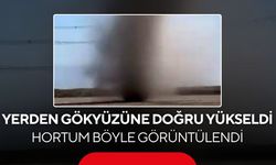 Tarlanın ortasında bir anda ortaya çıktı! Hortum kamerada...