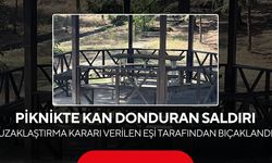Uzaklaştırma kararına rağmen dehşet saçtı! Kızıyla piknik yapan eşini bıçakladı