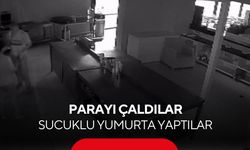 Pişkin hırsızlar... Girdikleri kafede sucuklu yumurta yapıp yediler