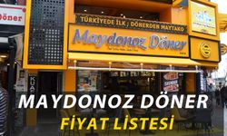 Maydonoz Döner Fiyat Listesi 2024: Tavuk, Et Döner Fiyatları