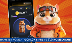 Hamster Kombat Günlük Şifre 23 Temmuz! Hamster Kombat Günlük Kombo Kart Nedir, Nasıl Girilir?