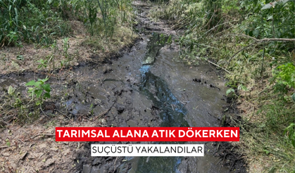 Gediz Nehri’ni kirletenlere suçüstü