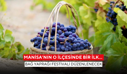 Manisa’nın o ilçesinde bir ilk… Bağ Yaprağı Festivali düzenlenecek