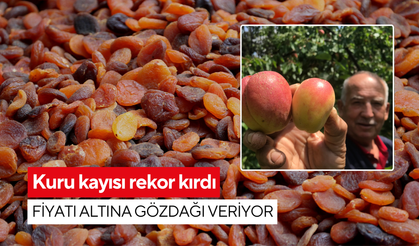 Kuru kayısı rekor kırdı: Fiyatı altına gözdağı veriyor