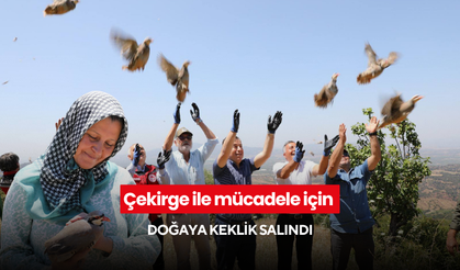 Çekirge ile mücadele için doğaya keklik salındı