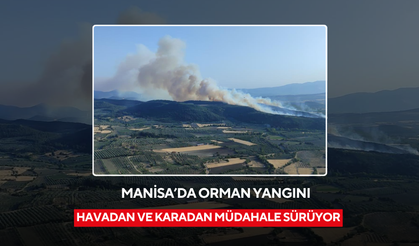 Manisa'da orman yangını: Havadan ve karadan müdahale sürüyor