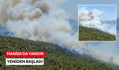 Manisa'da yangın yeniden başladı