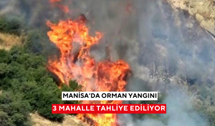 Manisa'da orman yangını: 3 mahalle tahliye ediliyor