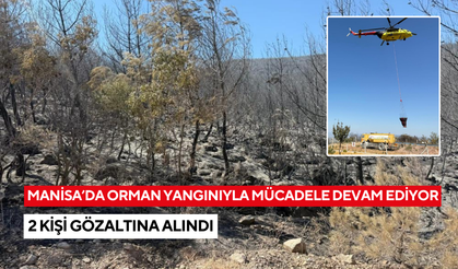 Manisa'da orman yangınıyla mücadele devam ediyor