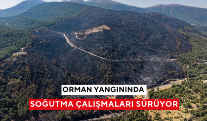 Soma’daki orman yangınında soğutma çalışmaları sürüyor