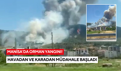Manisa'da orman yangını! Havadan ve karadan müdahale başladı
