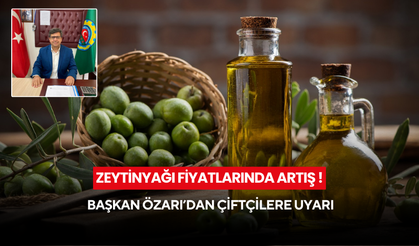 Zeytinyağı Fiyatlarında Artış ! Başkan Özarı’dan çiftçilere uyarı