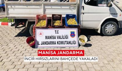 Manisa'da 135 kilo incir çalarken suçüstü yakalandılar