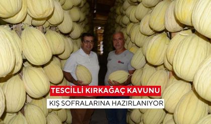 Tescilli Kırkağaç kavunu kış sofralarına hazırlanıyor