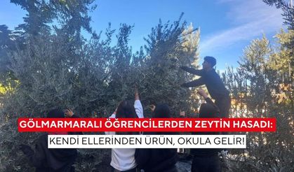 Gölmarmaralı öğrencilerden zeytin hasadı: Kendi ellerinden ürün, okula gelir!