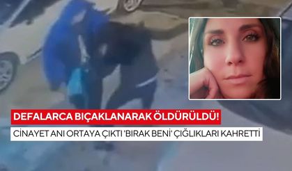 Defalarca bıçaklanarak öldürüldü! Cinayet anı ortaya çıktı 'Bırak beni' çığlıkları kahretti