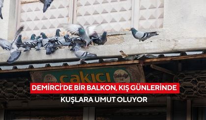 Demirci’de bir balkon, kış günlerinde kuşlara umut oluyor