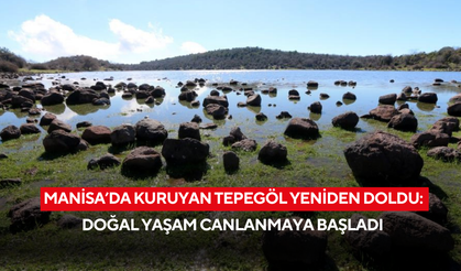 Manisa’da kuruyan Tepegöl yeniden doldu: Doğal yaşam canlanmaya başladı