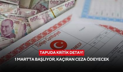 Tapuda kritik detay! 1 Mart'ta başlıyor, 5 yıl detayını kaçıran ceza ödeyecek