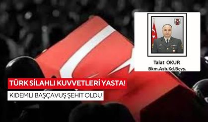 Türk Silahlı Kuvvetleri yasta! Kıdemli başçavuş şehit oldu