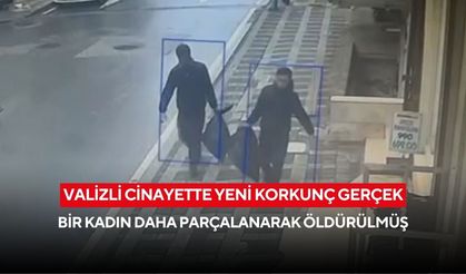 Valizli cinayette yeni korkunç gerçek: Bir kadın daha parçalanarak öldürülmüş