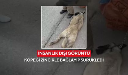 Vicdanları yaralayan olay! Köpeği kamyonetin arkasında sürükledi...