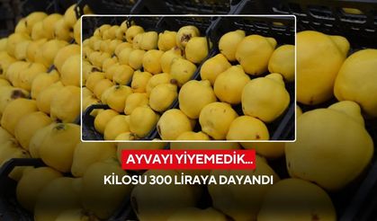 Ayvayı yiyemedik...Kilosu 300 liraya dayandı