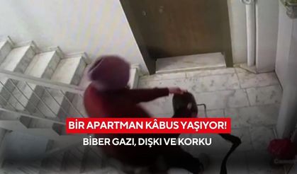 Bir apartman kâbus yaşıyor! Biber gazı, dışkı ve korku