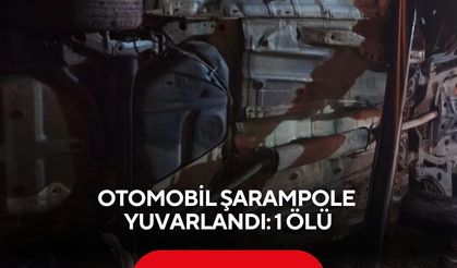 Otomobil şarampole yuvarlandı: 1 ölü