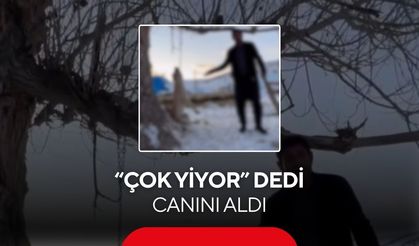 İnsanlık dışı görüntüler “Yemek yetmiyor” diyerek köpeğini astı...