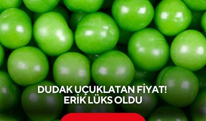 Dudak uçuklatan fiyat! Erik lüks oldu