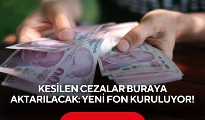 Kesilen cezalar buraya aktarılacak: Yeni fon kuruluyor!