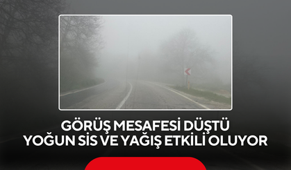 Yoğun sis hayatı etkiledi ! O bölgede dikkat