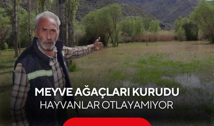 Bahçeler sular altında kaldı, ağaçlar kurudu, köylü çaresiz, yardım bekliyor...