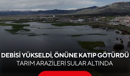 Debisi yükseldi, önüne geleni katıp götürdü! Tarım arazileri sular altında...