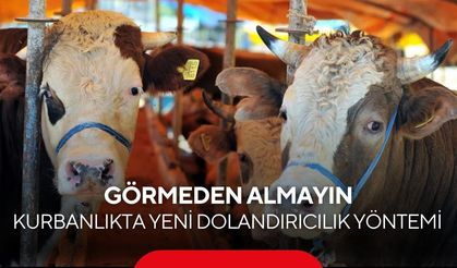 Kurbanlık alırken bu tuzağa düşmeyin! Uzmanlardan kritik uyarı.