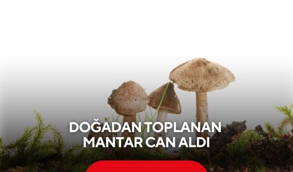 Doğadan toplanan mantar can aldı: 5 aylık hamile kadın öldü