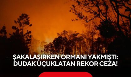 Şakalaşırken ormanı yakmıştı: Dudak uçuklatan rekor ceza!
